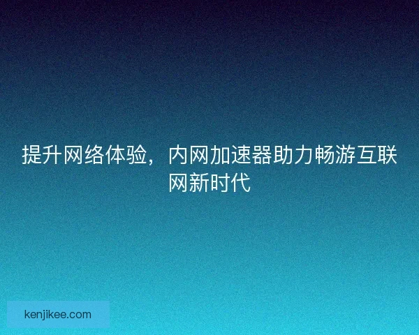提升网络体验，内网加速器助力畅游互联网新时代